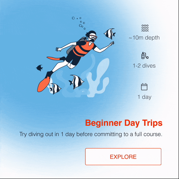 Animated scuba divers